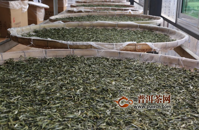 茶“香”勐宋 大兴茶叶产业 助力脱贫攻坚